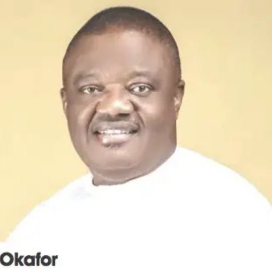 Hon. Okafor Dominic Ifeanyi
