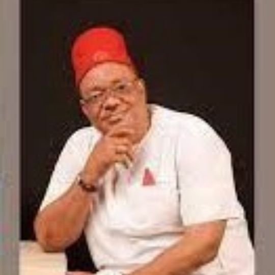 Hon. Peter Ifeanyichukwu Uzokwe