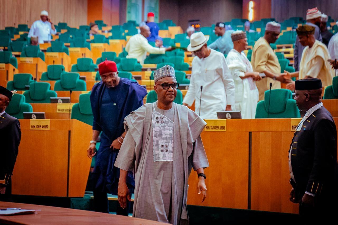 Electoral Act Amendment Sparks Debate Over Dual Party Membership Penalty