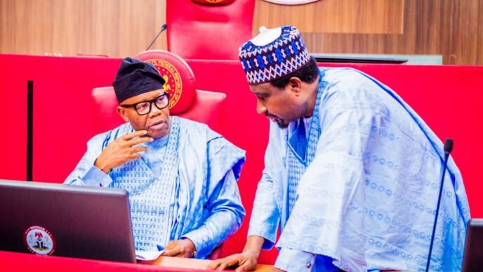 Senate confirms Taiwo Oyedele as Minister of state for Finance