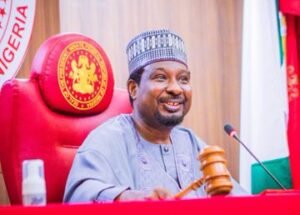 Deputy Senate President Presided over Tuesday Plenary Session