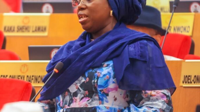 Senator idiat during thursday's plenary session