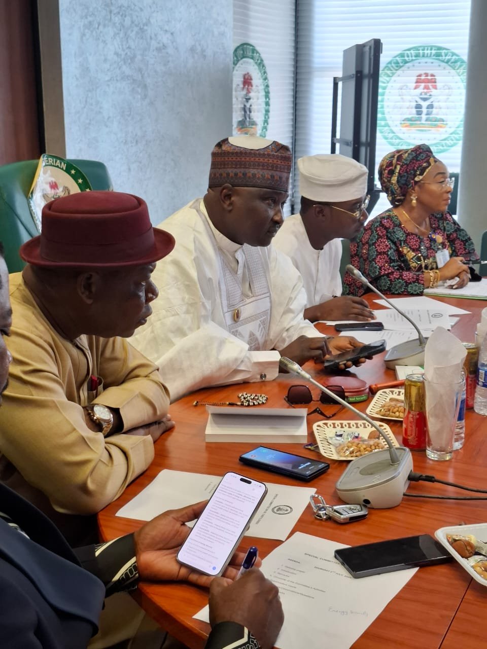 House of Representatives Special Committee on Crude Oil Theft Meeting